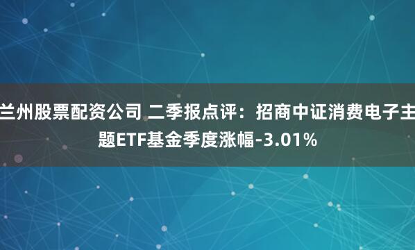 兰州股票配资公司 二季报点评：招商中证消费电子主题ETF基金季度涨幅-3.01%